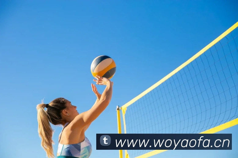 乐竞网站平台生态图