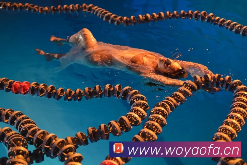 乐竞网站全站App